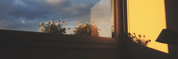 gardenchoo's profile banner image