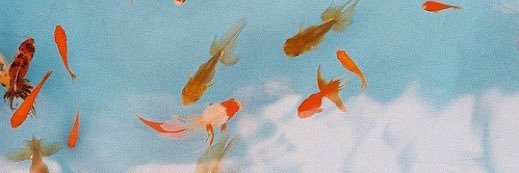 ♆'s banner
