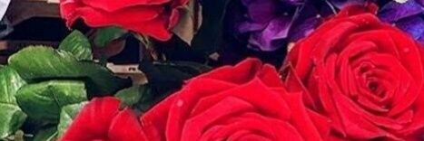 swm_ayk's profile banner image