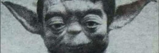 FlaviaMaass's profile banner image
