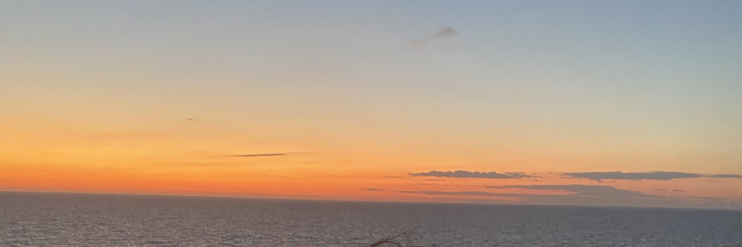 _Melanylf's profile banner image