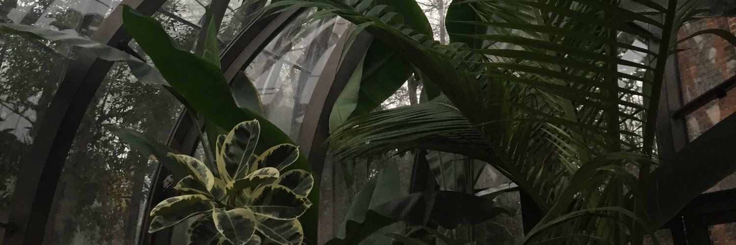 AnnieNicee's profile banner image