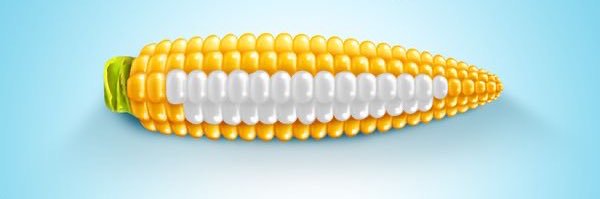 sasselglz's profile banner image