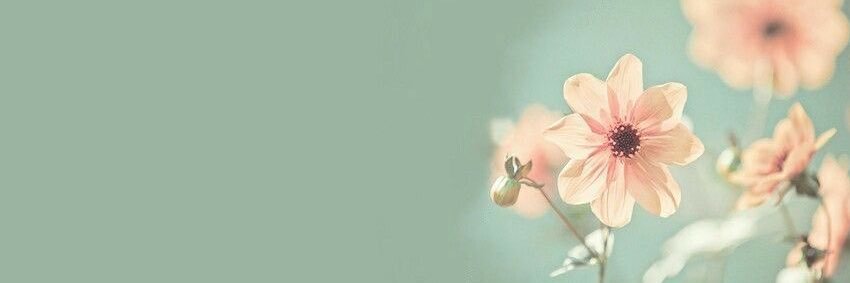 MafRuano's profile banner image