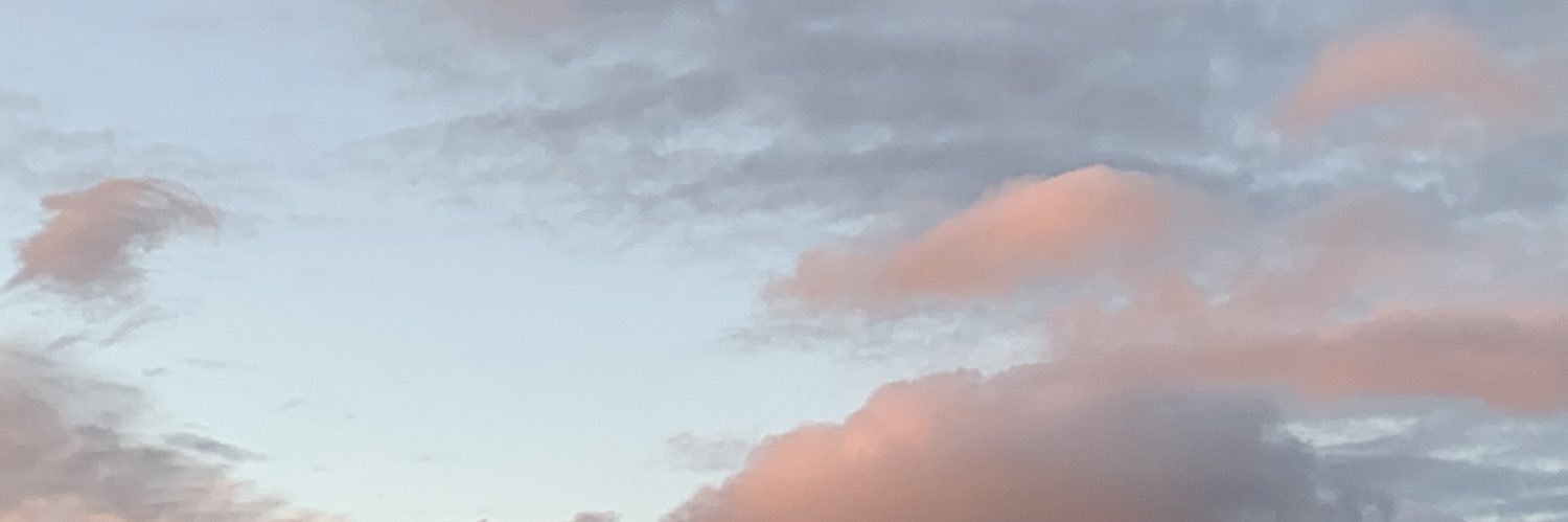 Charlotte Ferworn banner