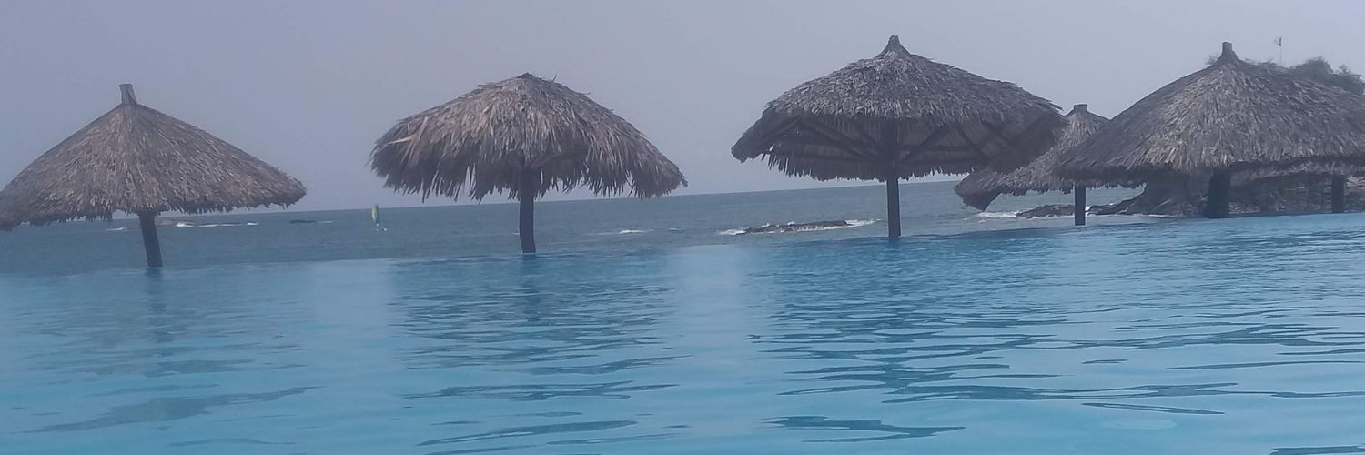 annieonlyone's profile banner image