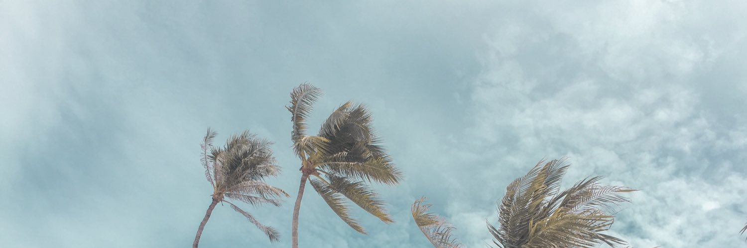 tinemones's profile banner image