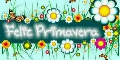 paquisergio's profile banner image