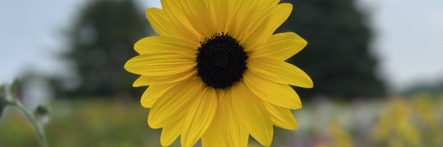 e_fredrickson's profile banner image