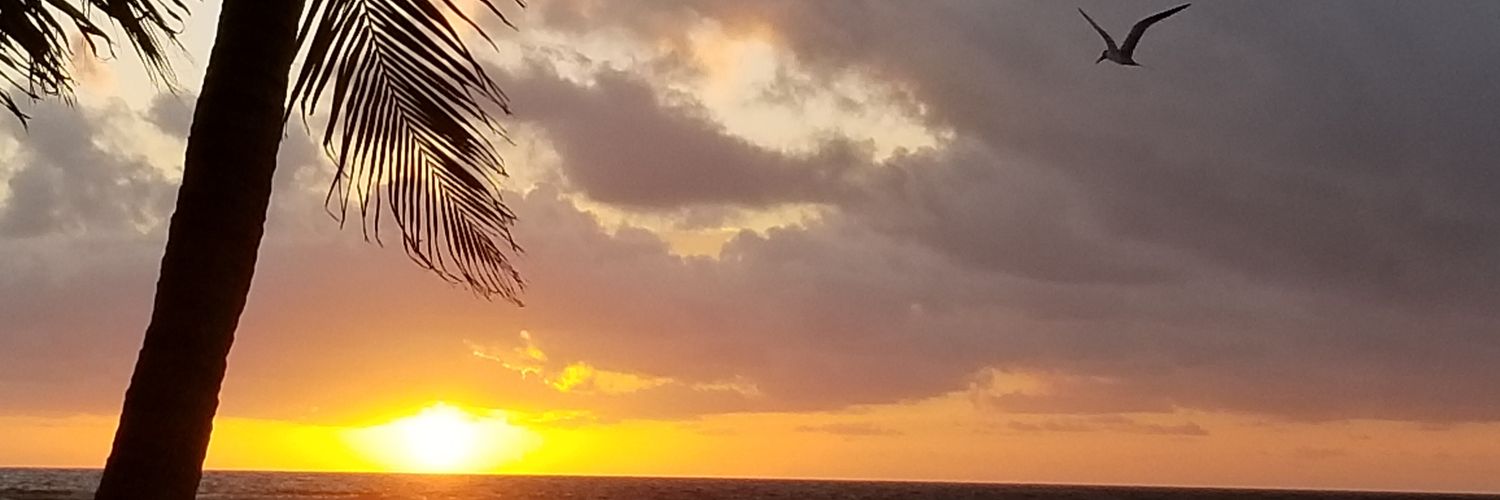 M3_bully's profile banner image