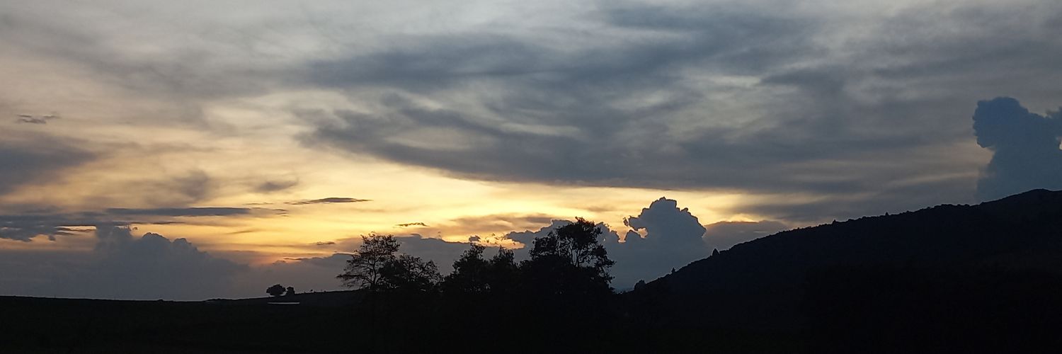 Andryxsleal's profile banner image