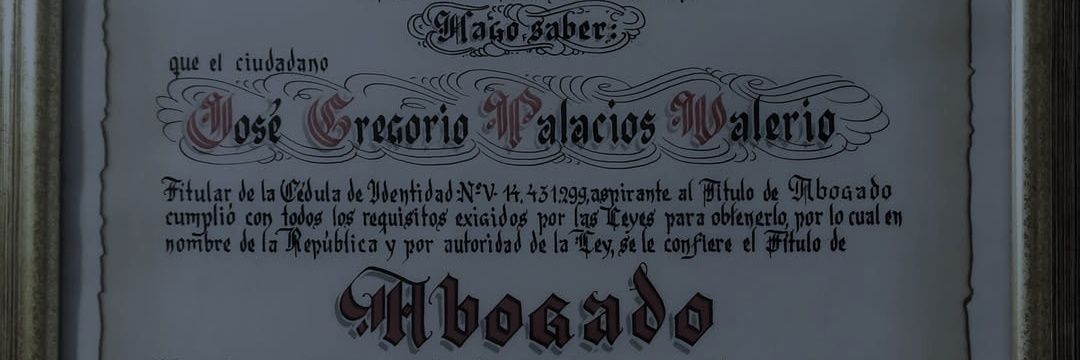 José G. Palacios V banner