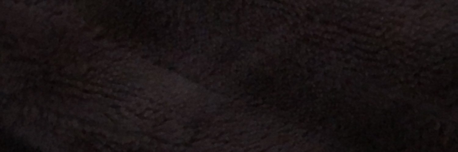 Biden’s Bike banner