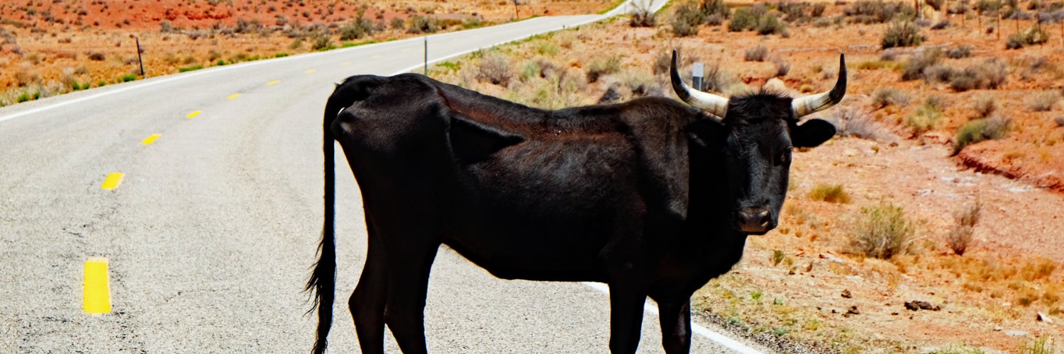 NassauReview's profile banner image