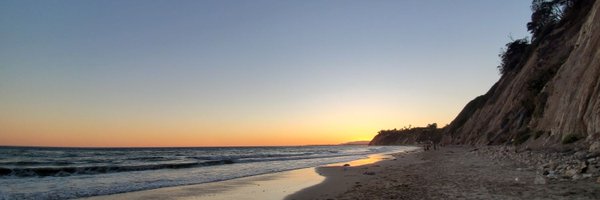 XinyiWang98 Profile Banner