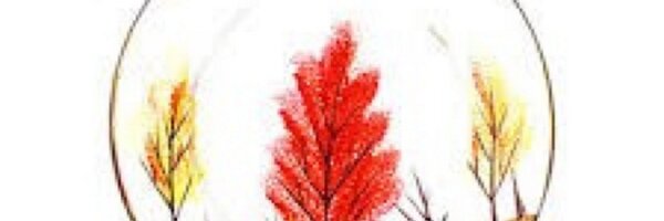 unafoye Profile Banner