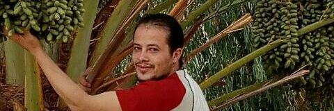 AlmontaserMaged's profile banner image