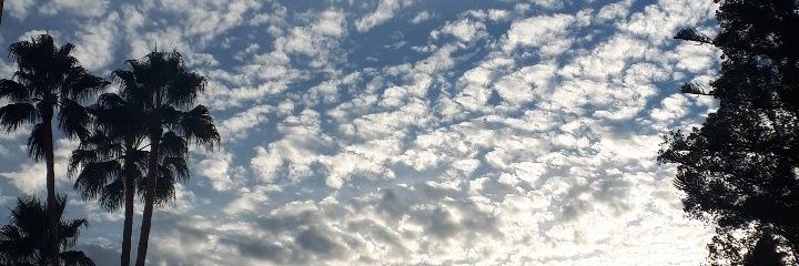 yaniraa_ro's profile banner image