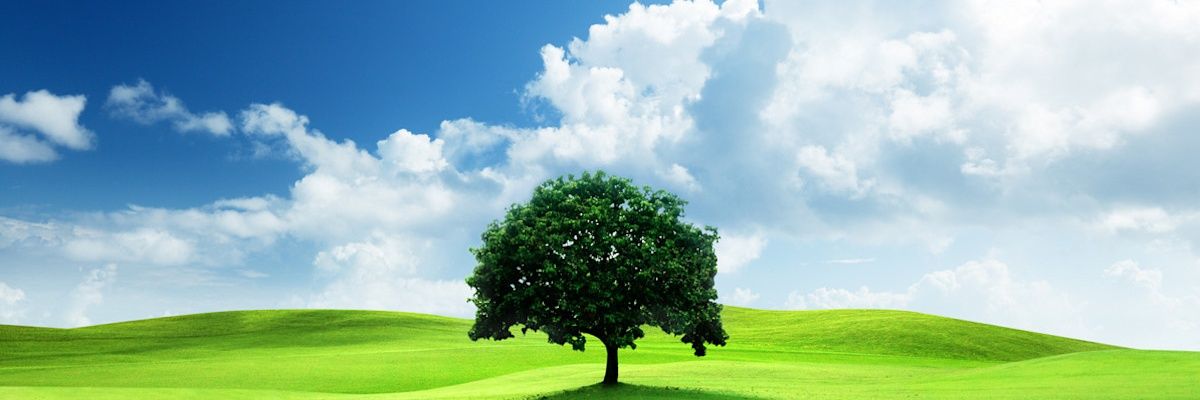 JesikaRose33's profile banner image