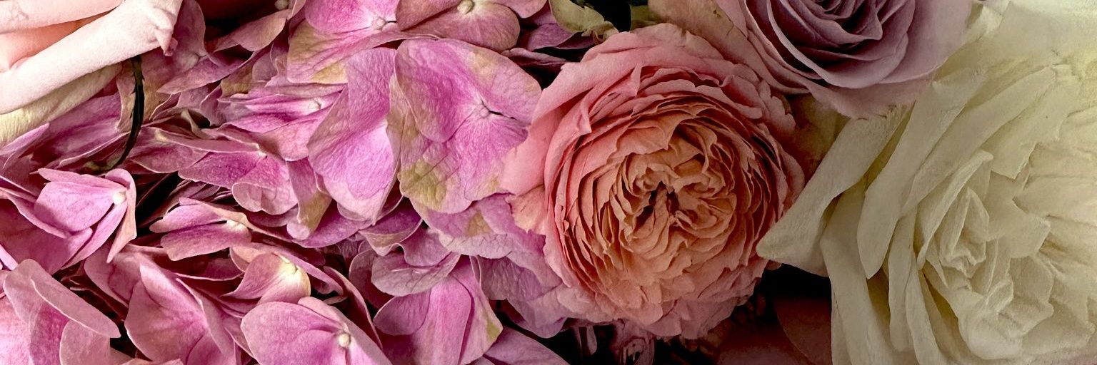BrielZimmer's profile banner image