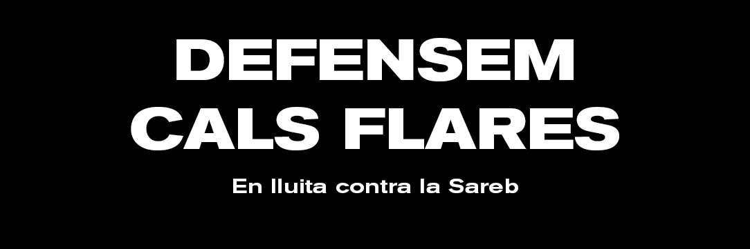 CSOA Cals Flares banner