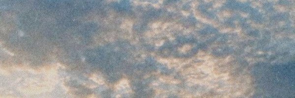 neeeraaszz Profile Banner