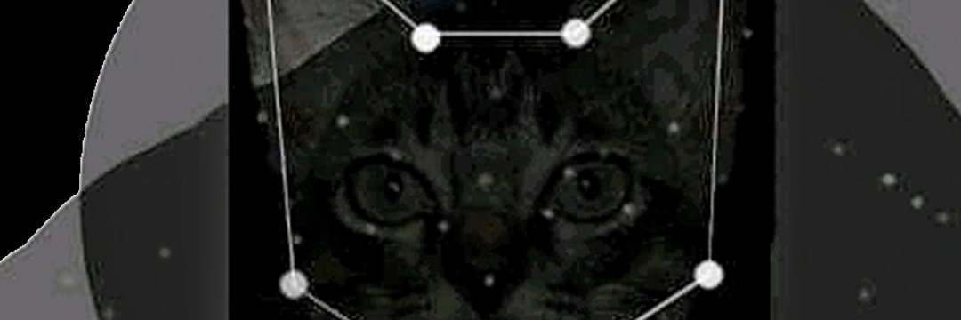 Rasi Kucing banner