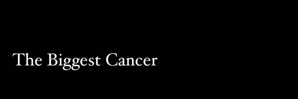 adoringci's profile banner image