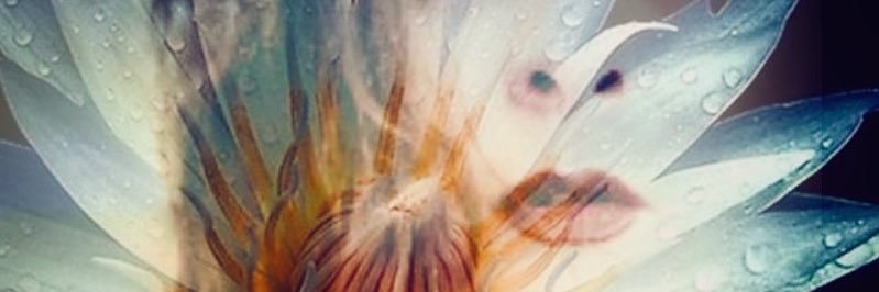 wordofami's profile banner image