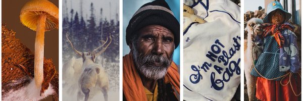 nomomente Profile Banner