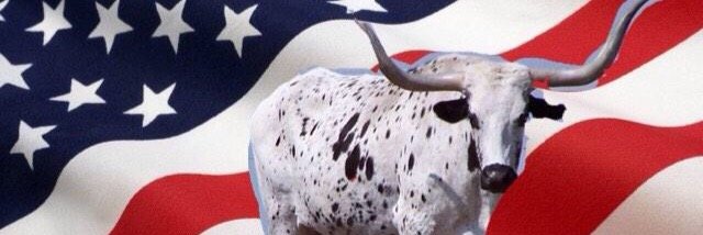 grahamprobs's profile banner image