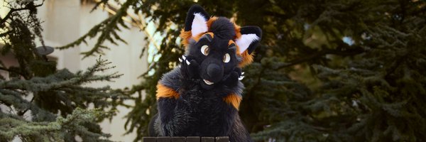 NatricCrossFox Profile Banner