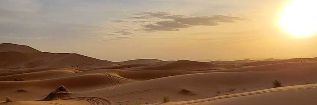 شيبان's banner