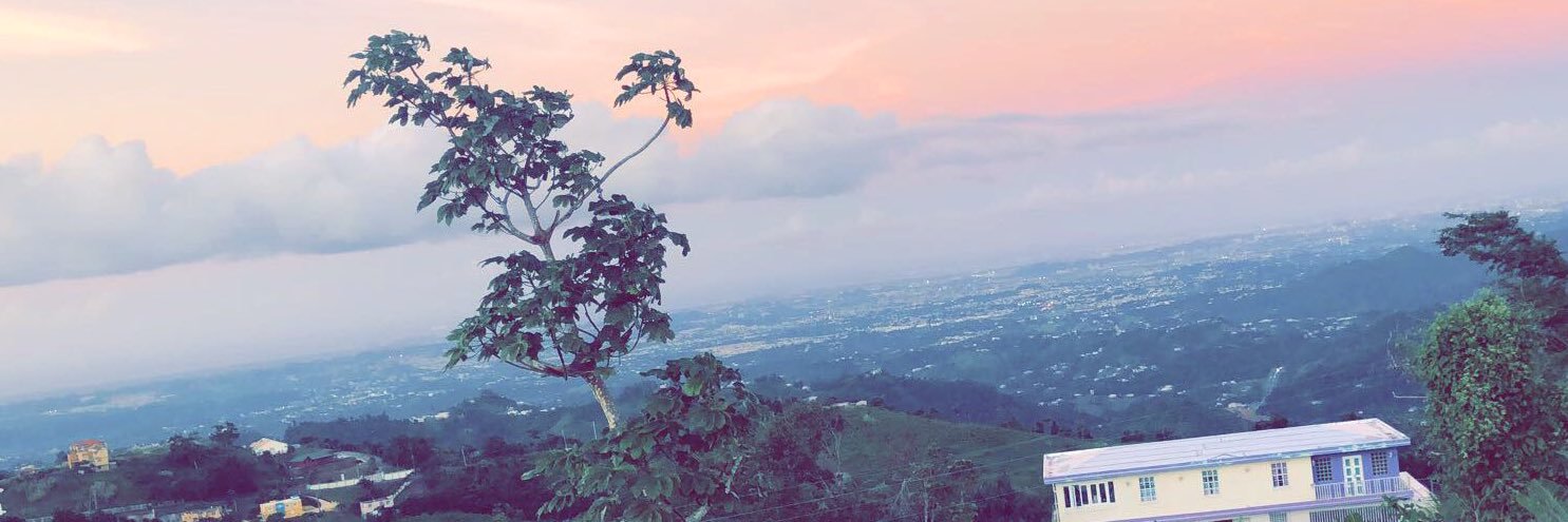 Orlando Gabriel banner