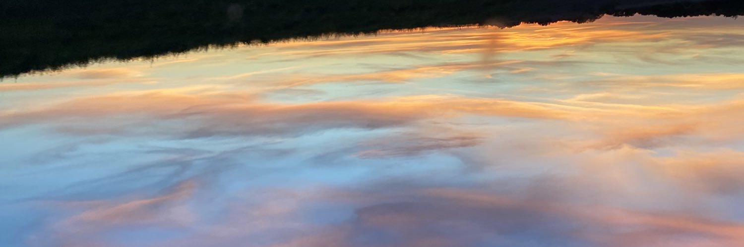 Timmy_Hass's profile banner image