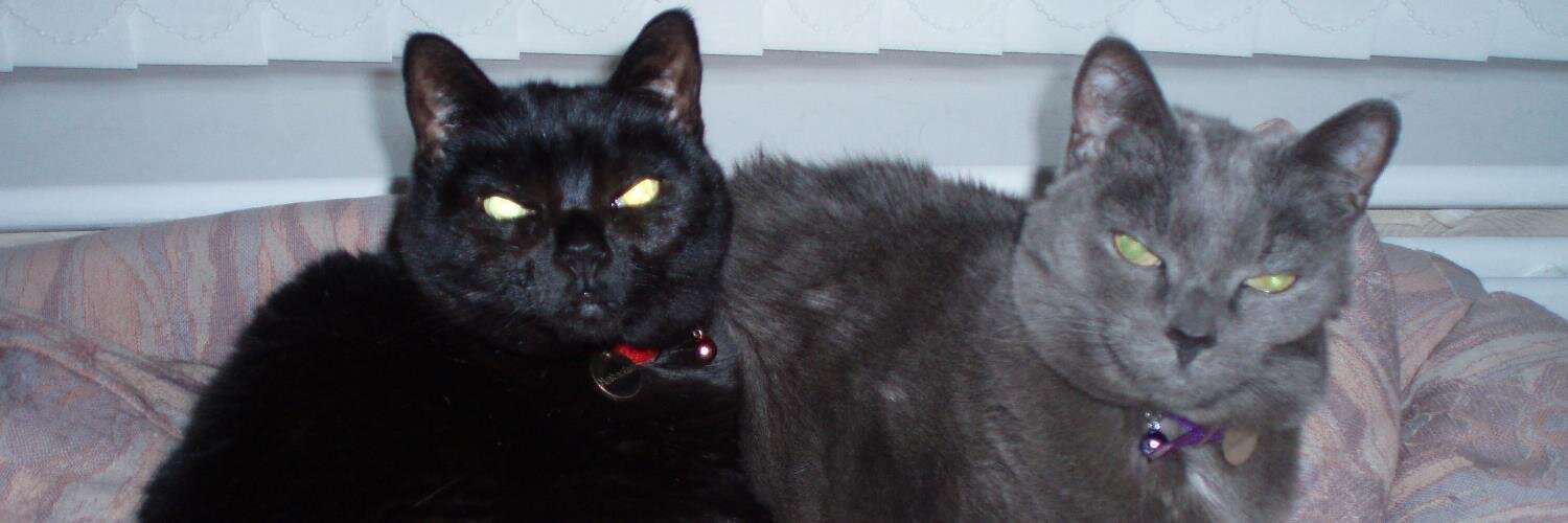 LadyHappycat's profile banner image