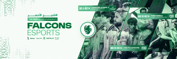 FalconsEsport Profile Banner
