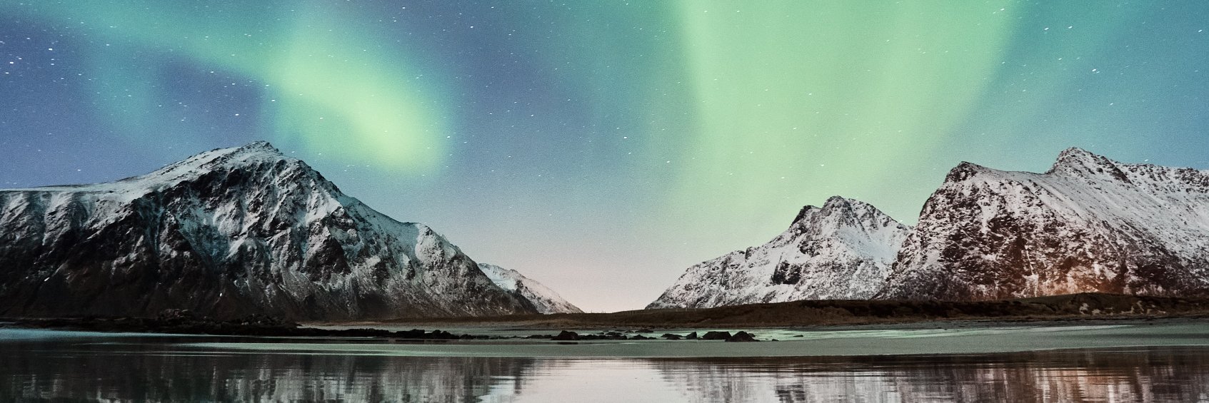 NatureNeedsHalf's profile banner image