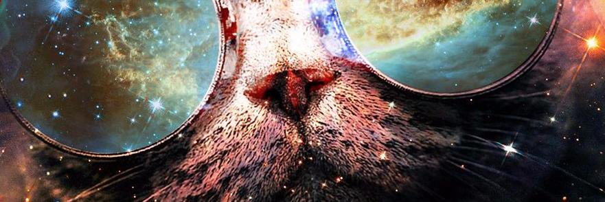 cheliitodelgado's profile banner image