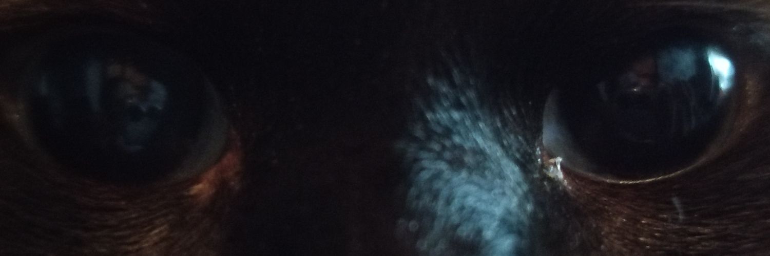 ∑ᶠʳʳ☆Cinnamon banner