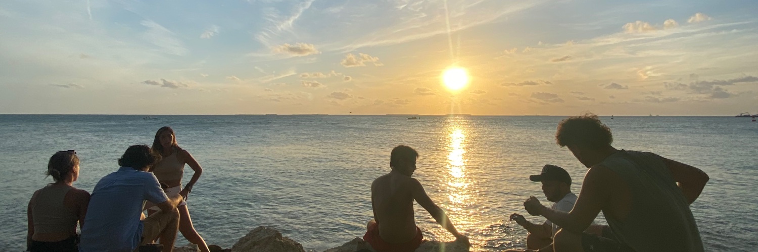 lurrivetti's profile banner image
