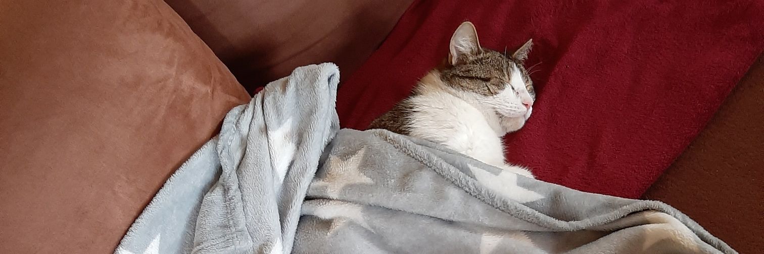 Sabole und Max🐈😻 banner