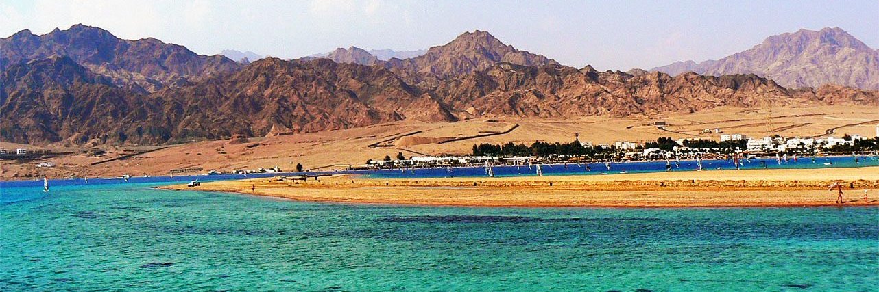 Mohamed Fareed banner