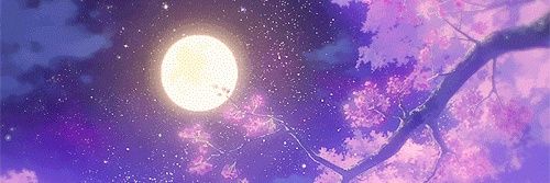 psycho_kitty23's profile banner image