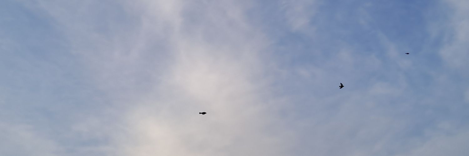 Lunaaa_vb's profile banner image