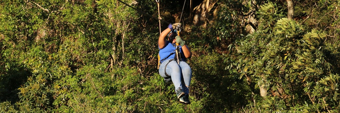 Domingas Loforte banner