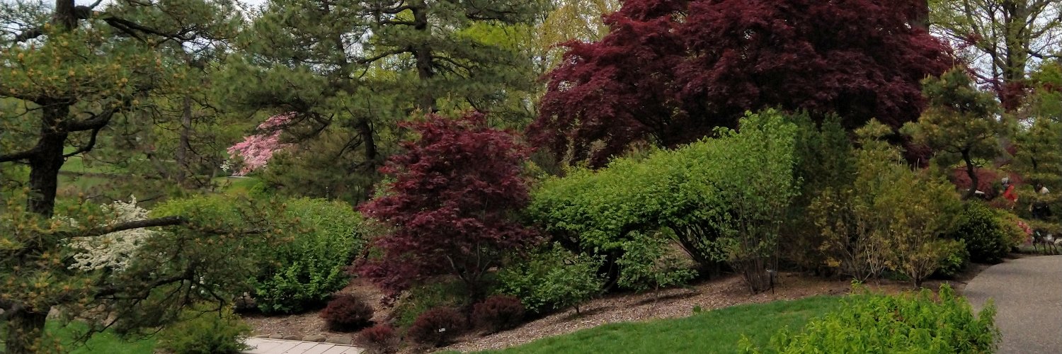 ChristianDemo15's profile banner image