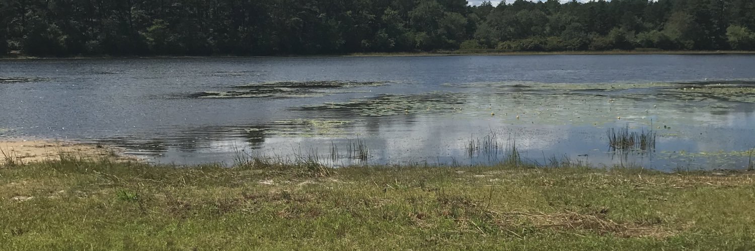 Danjanison's profile banner image