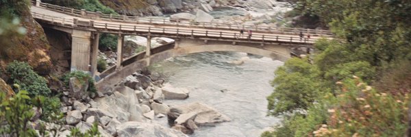negusinnature Profile Banner