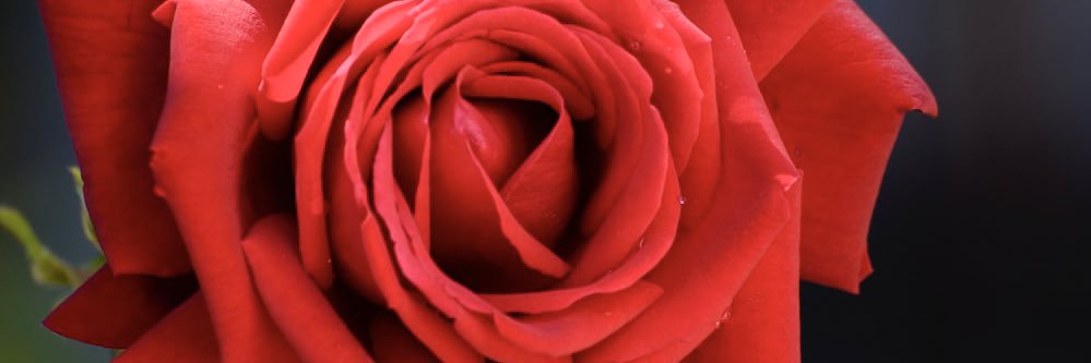 Jevonte 😈💰💦 banner